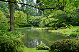 Фотографии Канада Парки Пруд Ванкувер Кусты Nitobe Garden Природа