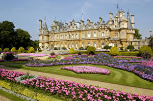 Фотография Англия Парки Бегония Дворец Газоне Waddesdon Manor