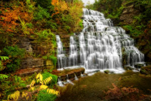 Фотографии США Парк Водопады Нью-Йорк Hector falls Природа