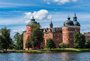 Фотография Швеция Замок Реки Дерево Gripsholm город