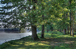 Фотографии США Парки Река Дерево Harmonie State Park Indiana Природа