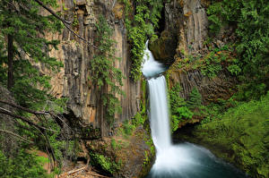 Обои Штаты Водопады Скала Мхом Toketee Falls Oregon Природа