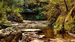 Фотографии Австралия Водопады Камни Мох Ручей Wentworth Falls Природа