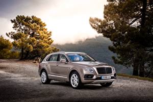 Фото Bentley 2016 Bentayga Diesel Worldwide автомобиль