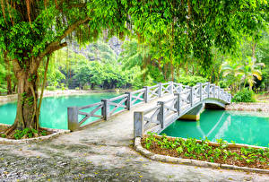 Фотографии Вьетнам Парки Пруд Мост Деревьев Ninh Binh Province Природа