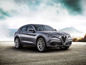 Фотография Alfa Romeo Серые 2017 Stelvio Worldwide Автомобили