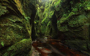 Фото Шотландия Утес Пещере Мха Ручеек Finnich Glen Природа