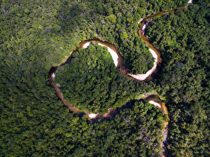 Фото Бразилия Лес Реки Сверху Amazon Jungle Природа