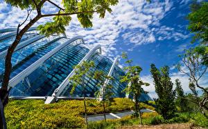 Фото Сингапур Сады Дома Дизайна Дерево Gardens by the Bay Природа