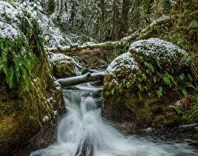 Обои для рабочего стола Канада Парки Водопады Снега Мох Ручеек Vancouver Island Parks Природа