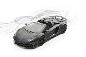 Фотография Ламборгини Белом фоне Серый Родстер Углепластик 2019 Mansory Aventador Carbonado Evo Roadster