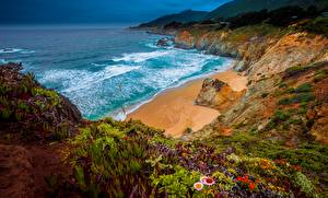 Картинка Побережье Океан Штаты Калифорнии Утес Big Sur, Julia Pfeiffer Burns State Park Природа