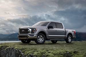 Картинки Ford Пикап кузов Серый Металлик Сбоку F-150