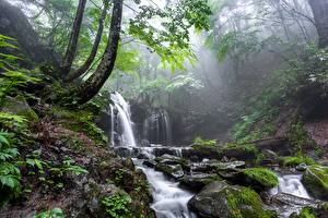 Картинка Камни Водопады Туман Мох Ручеек Природа