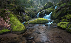 Фото Водопады Камни Мох Ручей