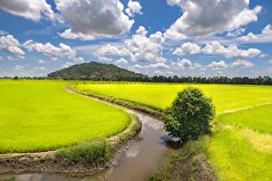 Фотографии Вьетнам Поля Водный канал Облака Trung Khanh District, Cao Bang (province) Природа