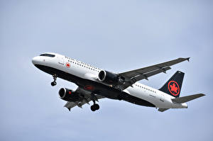 Фотографии Эйрбас Самолеты Пассажирские Самолеты A320, Air Canada Авиация