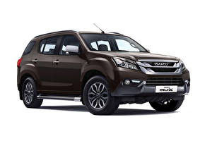 Картинки Isuzu Коричневый Металлик Внедорожник Белый фон MU-X, India, 2017–18